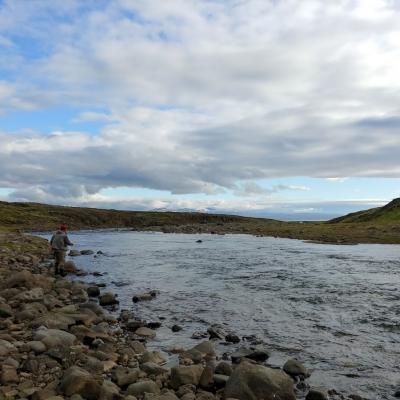 Miðfljót II