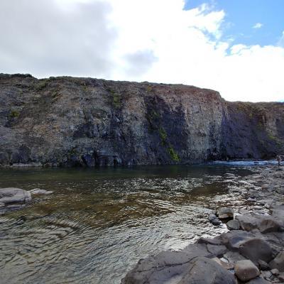 Viðbjóður